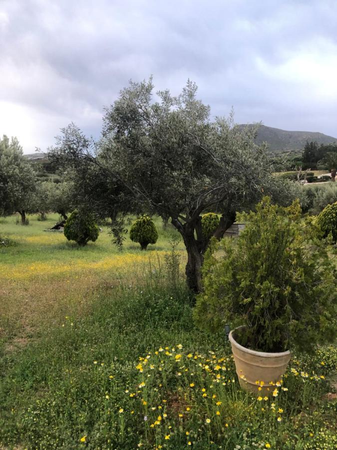 منزل الضيف أنافيسوس  في Olive Grove المظهر الخارجي الصورة