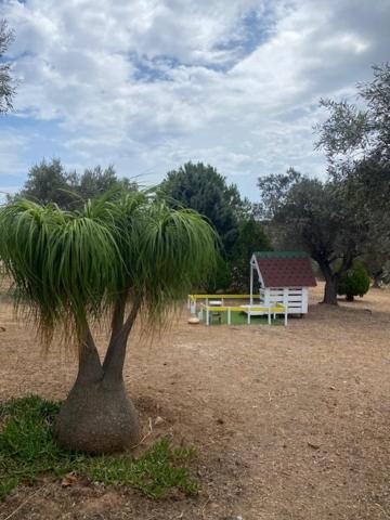 منزل الضيف أنافيسوس  في Olive Grove المظهر الخارجي الصورة